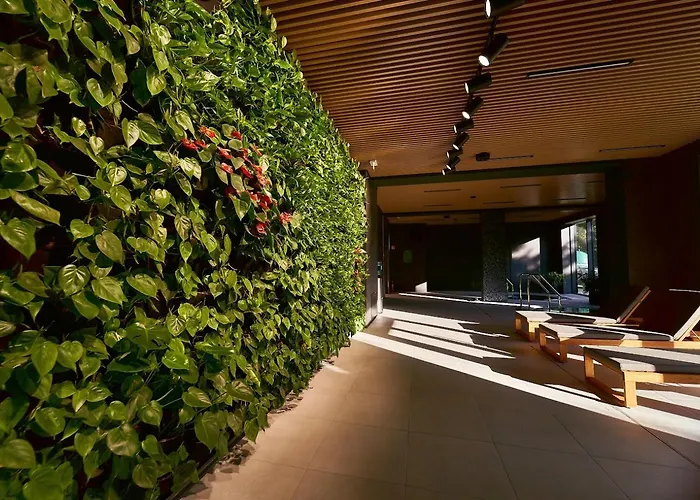 Park -laguna - Premium 2 Bad Altheide